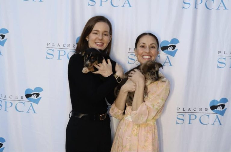 Shanti Landon SPCA Puppies